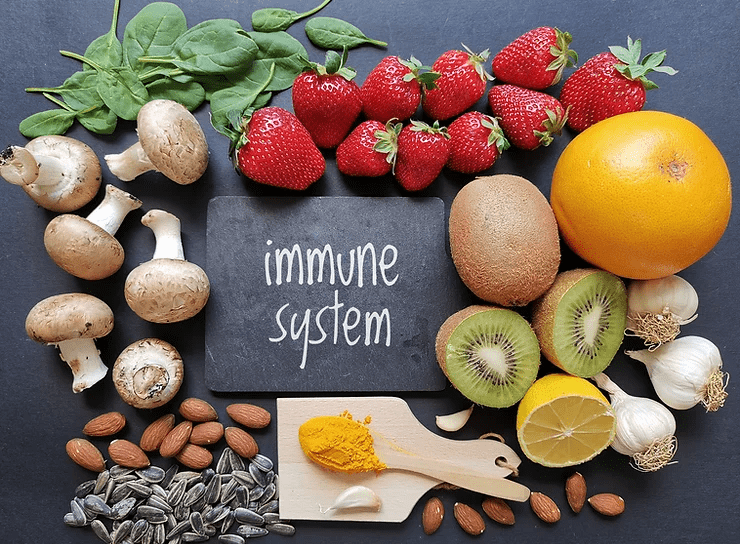 strong immune system requires a healthy gut