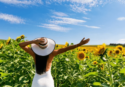 Image of healthy digestive tract without leaky gut